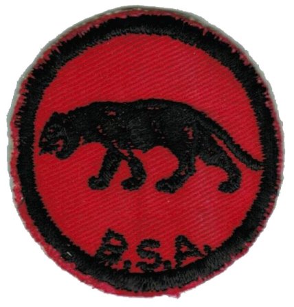 Panther Patrol Patch