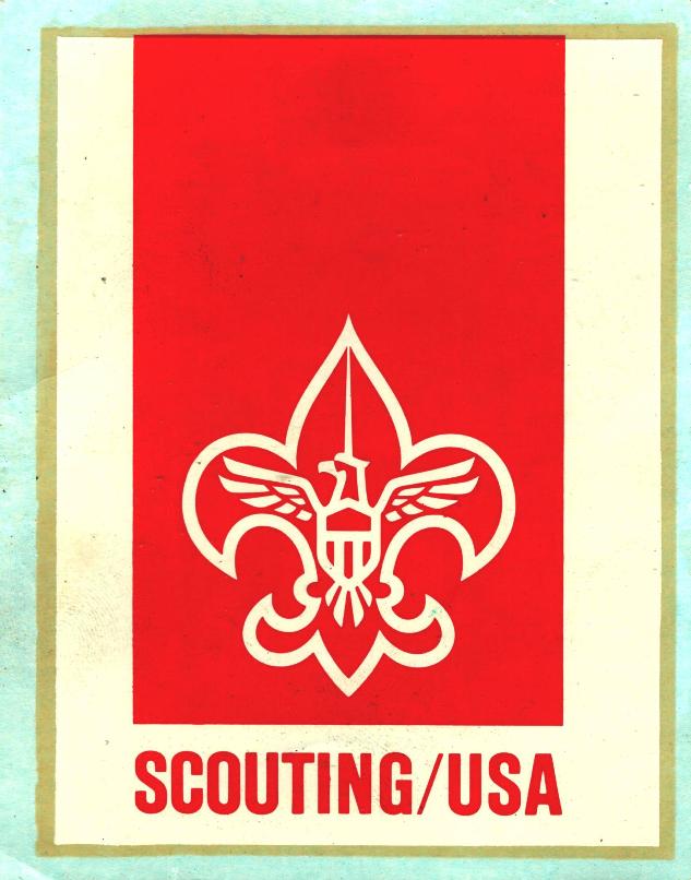 BSA Scouting  USA Decal