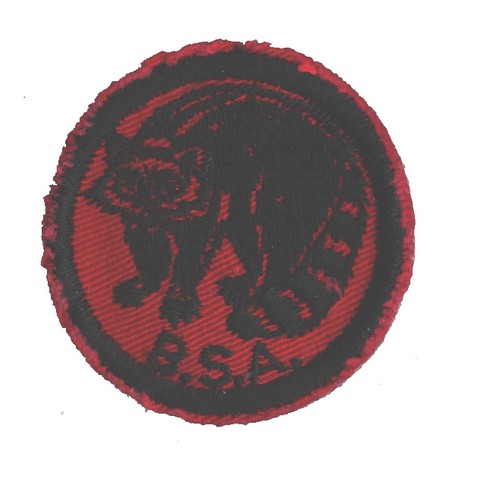 Raccoon Patrol Patch