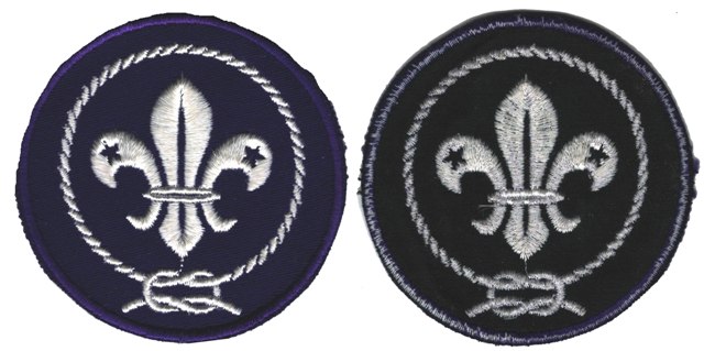 BSA World Crest Scout Emblem Patch - small