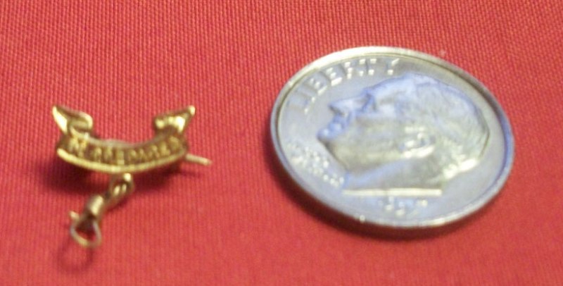 "Mother's" (Parents) 2nd Class Pin