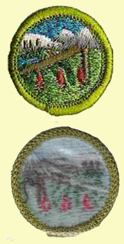 Merit Badge - Wilderness Survival (1973 – 2002) (Blue)