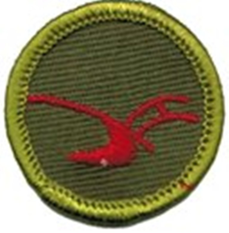 Merit Badge - Agriculture (1961 – 1968)