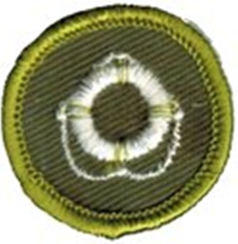 Merit Badge - Lifesaving (1961 - 1968)